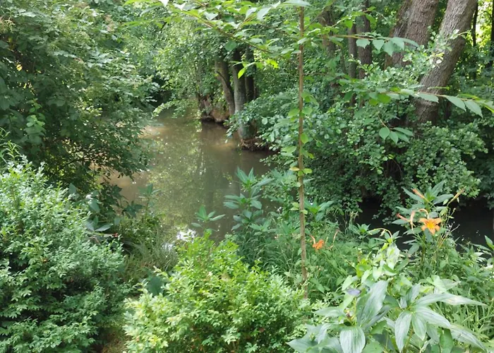 Schoene Direkt Am Bach Appartamento *