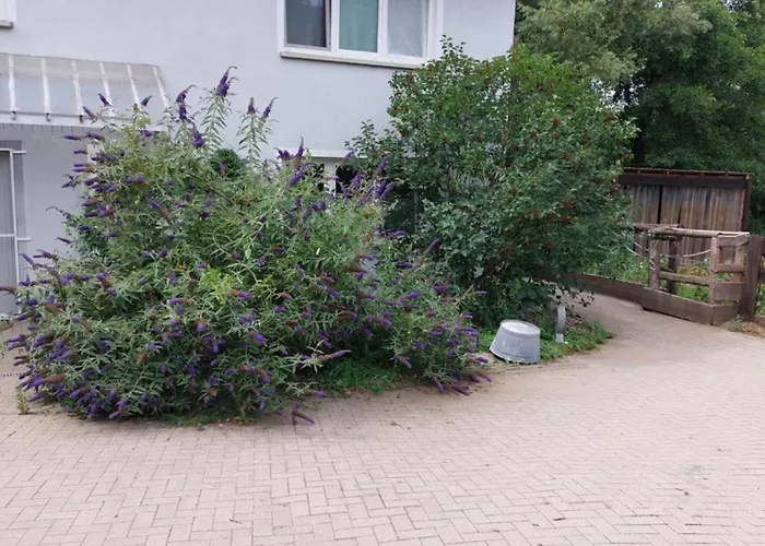 Schoene Direkt Am Bach Neunkirchen am Sand